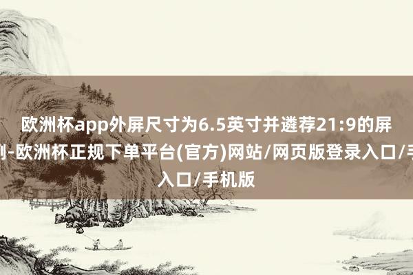欧洲杯app外屏尺寸为6.5英寸并遴荐21:9的屏幕比例-欧洲杯正规下单平台(官方)网站/网页版登录入口/手机版