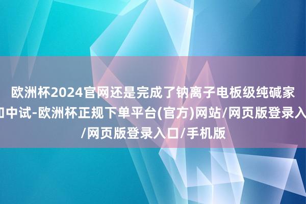 欧洲杯2024官网还是完成了钠离子电板级纯碱家具的研发和中试-欧洲杯正规下单平台(官方)网站/网页版登录入口/手机版