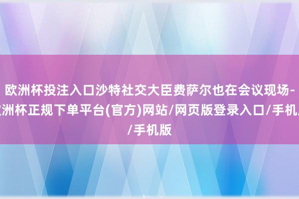 欧洲杯投注入口沙特社交大臣费萨尔也在会议现场-欧洲杯正规下单平台(官方)网站/网页版登录入口/手机版
