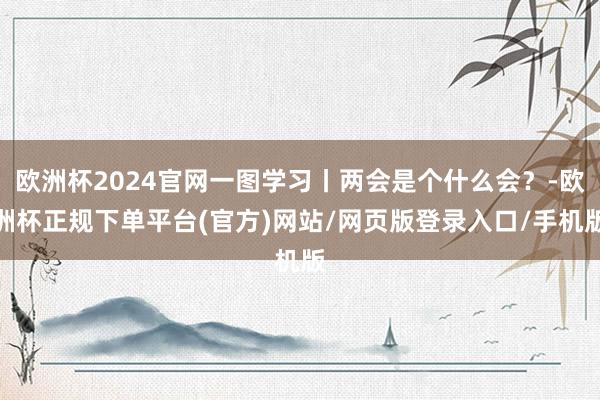 欧洲杯2024官网一图学习丨两会是个什么会？-欧洲杯正规下单平台(官方)网站/网页版登录入口/手机版