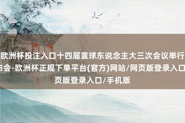 欧洲杯投注入口十四届寰球东说念主大三次会议举行新闻发布会-欧洲杯正规下单平台(官方)网站/网页版登录入口/手机版
