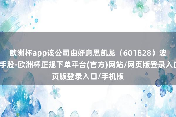 欧洲杯app该公司由好意思凯龙（601828）波折全资合手股-欧洲杯正规下单平台(官方)网站/网页版登录入口/手机版