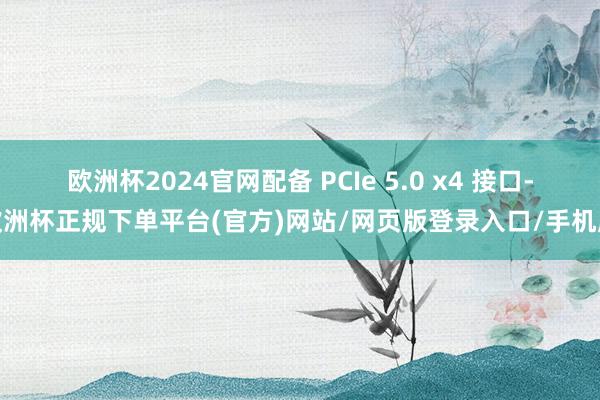 欧洲杯2024官网配备 PCIe 5.0 x4 接口-欧洲杯正规下单平台(官方)网站/网页版登录入口/手机版